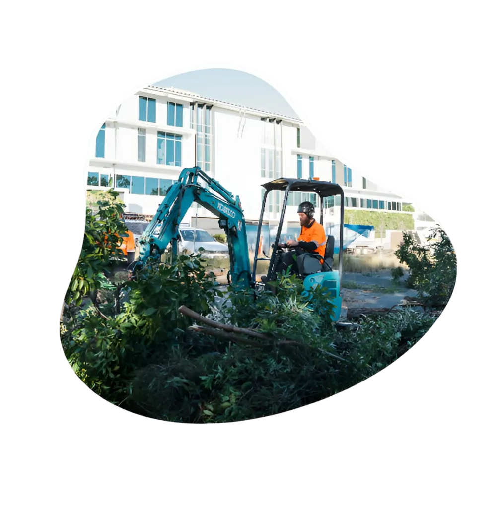 Green Waste Removal Services in Gold Coast