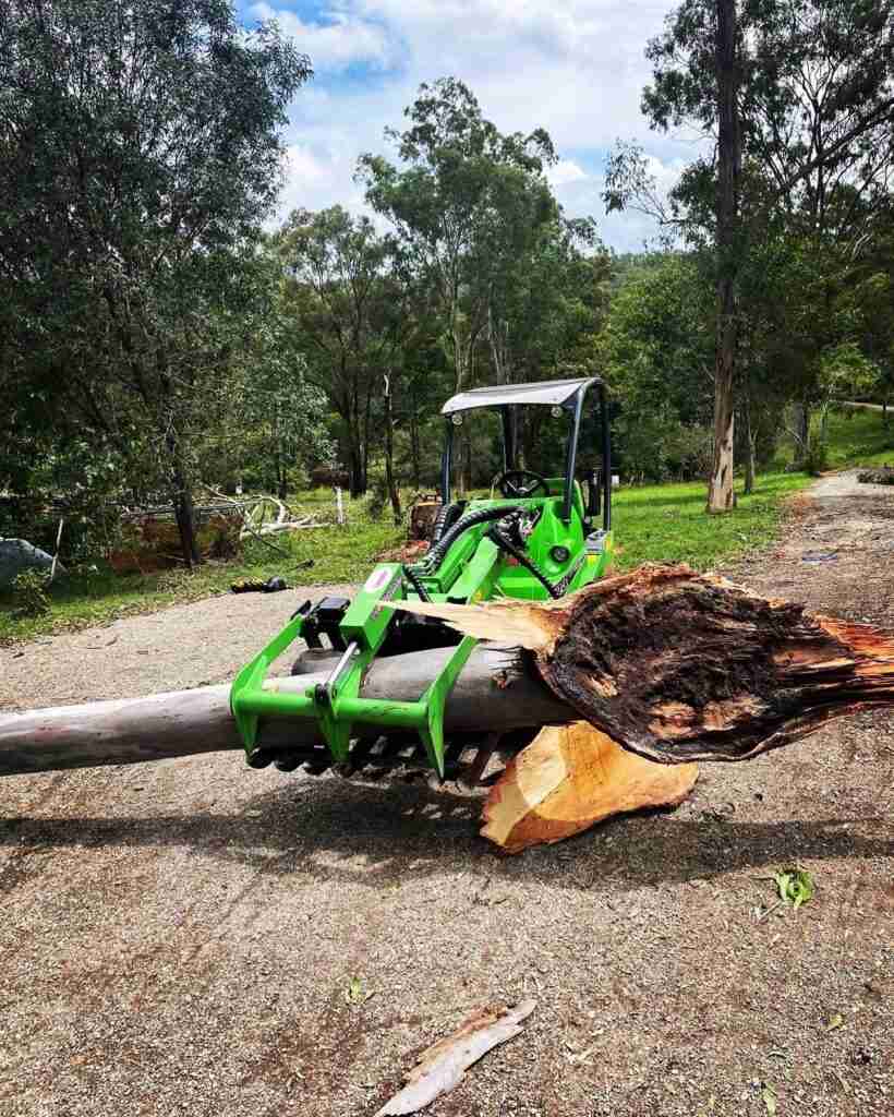 Tree Removal Services in Gold Coast